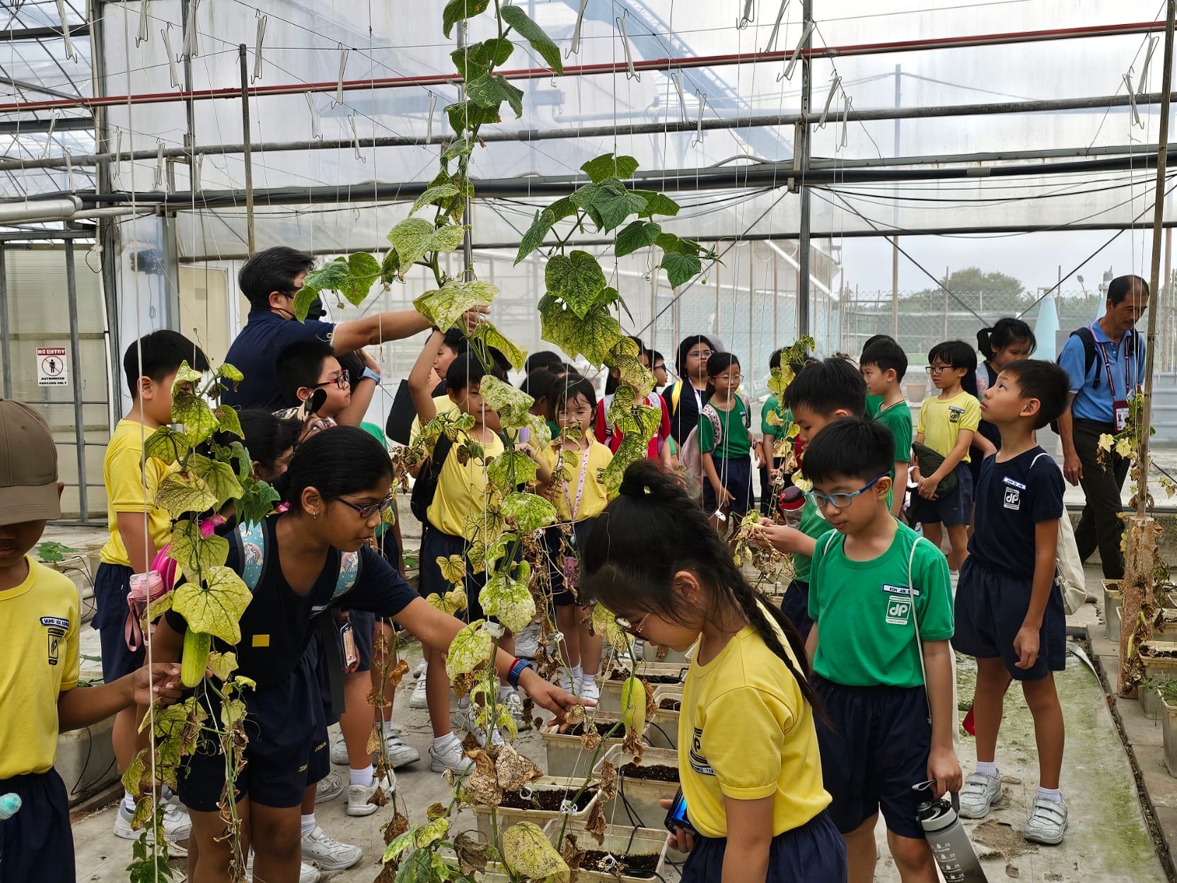 Students gather around creepers to learn more about vertical farming during a learning journey.